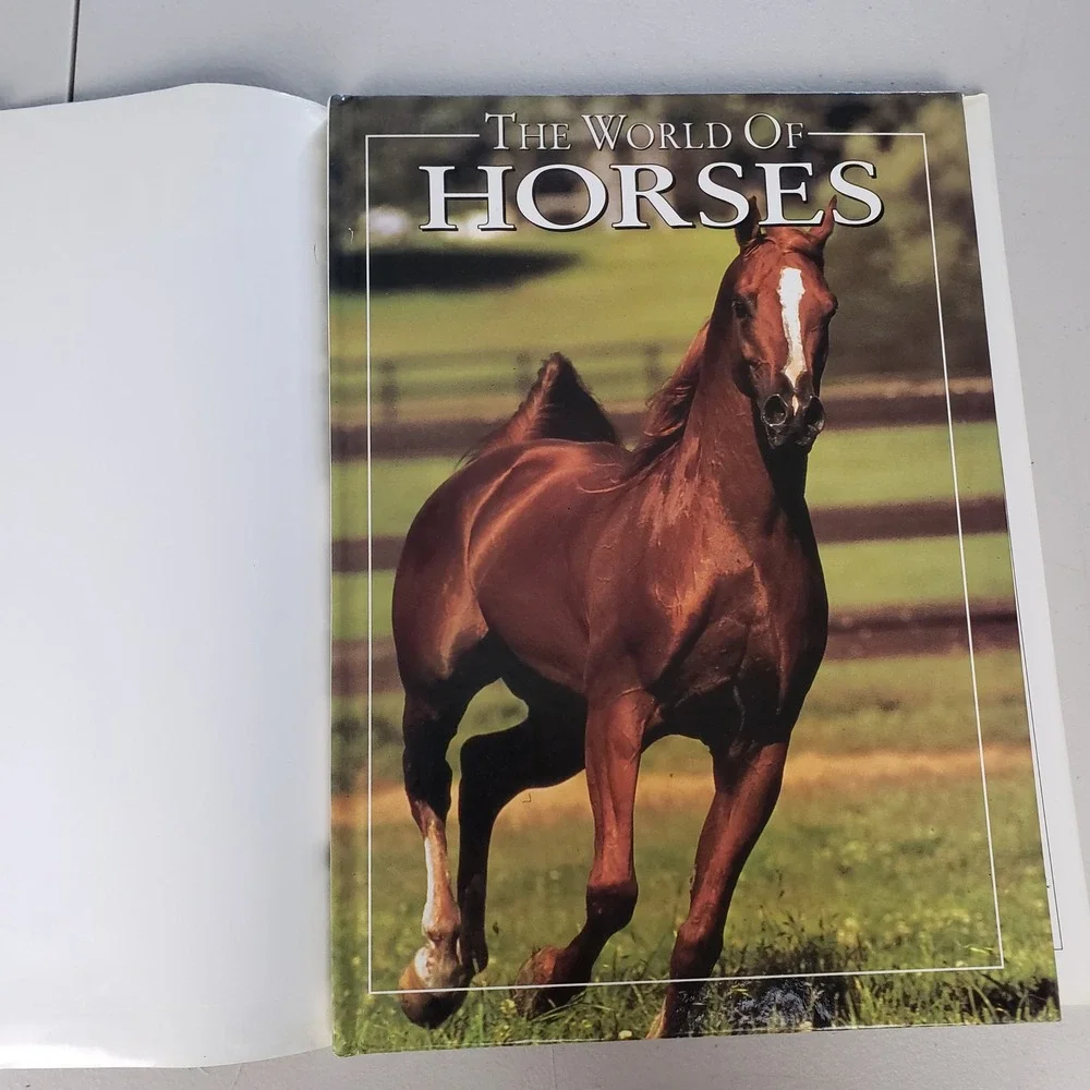 The World of Horses Angela Rixon Hardcover Book 1994 Smithmark Photography